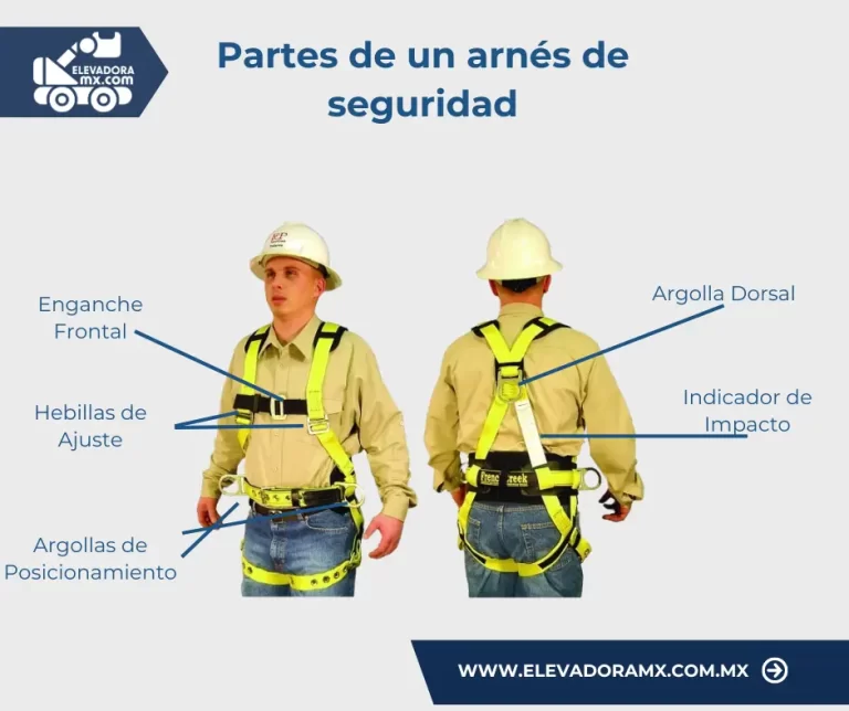 Partes de un arnés de seguridad